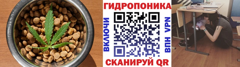Canna-Cookies марихуана цены Кемь