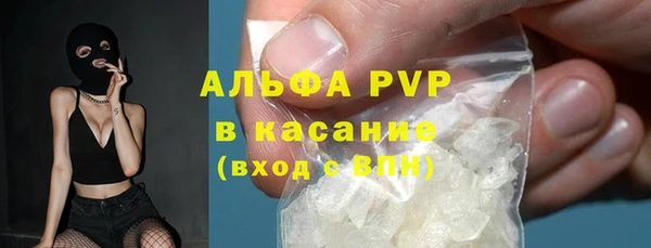 прущие грибы Нефтегорск