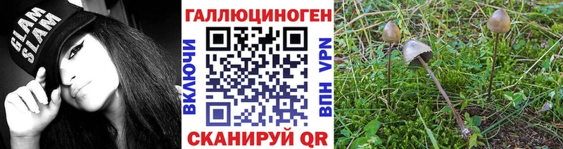 Галлюциногенные грибы Psilocybe  Кемь 